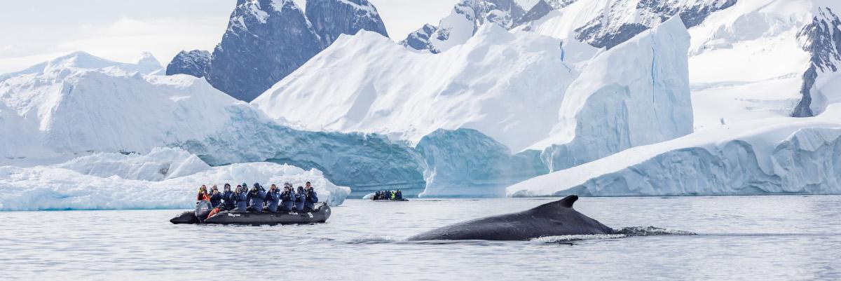 Exclusive Sale - All-inclusive Expeditions in 2025